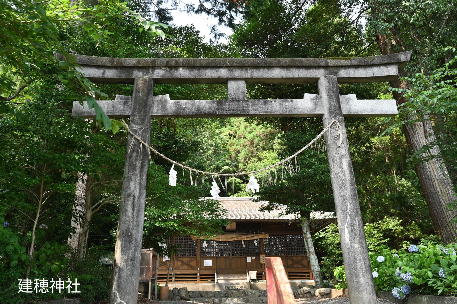 【学芸員と行く！】しずおかの古仏編〜建穂寺〜