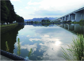 鯨ケ池（静岡市葵区下）